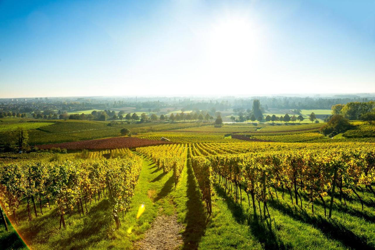 Clos Ceres Vire  Ngoại thất bức ảnh